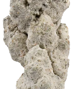 ICED Lemon Tree Sativa Jarred Infused Flower 3.5g