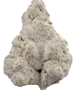 ICED Sugarland Sativa Jarred Infused Flower 3.5g