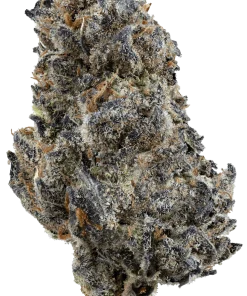 Rainbow Road Sativa Flower 3.5g